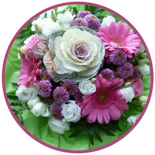 blume2
