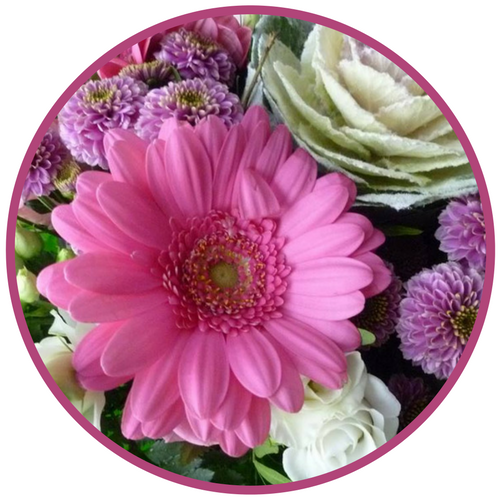 blume4