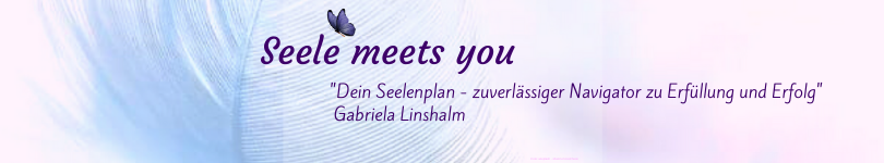 seelenplankurs