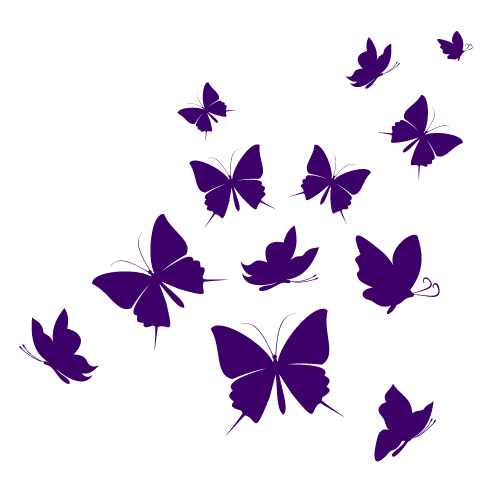 Papillons2