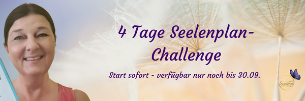 Kopie von seelenplanchallenge